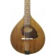 Spruce top of the mandola Gewa model Pro Arte Antique
