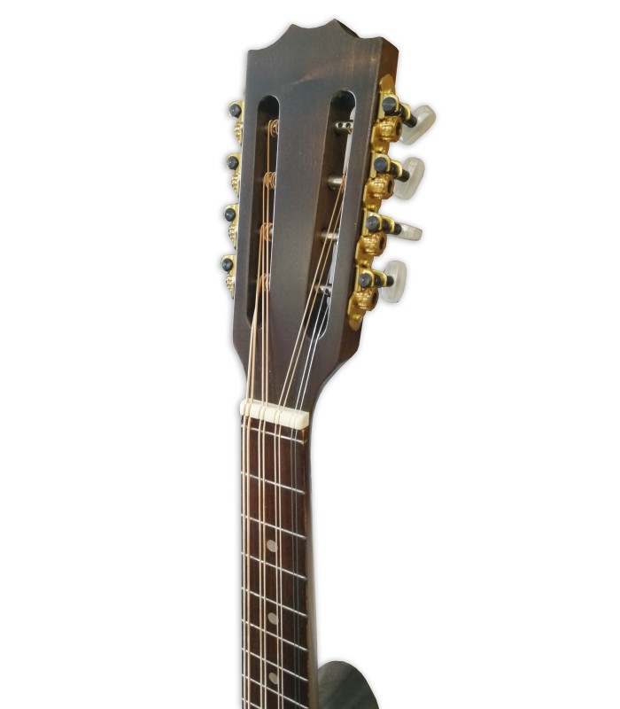 Head of the mandola Gewa model Pro Arte Antique