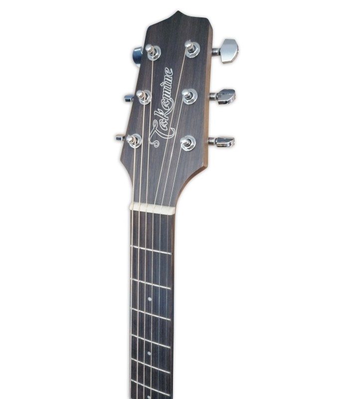 electroacoustic-guitar-