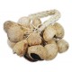 Shaker Toca model T SS seed husks