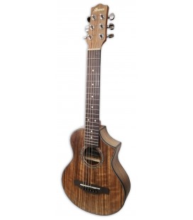 Acoustic guitar Ibanez model EWP14B OPN Piccolo Guitar