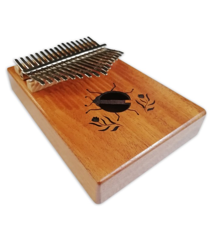 Body's detail of the kalimba Gewa model F835550