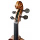 Scroll of the electric violin model Stentor Student II 4/4 SH