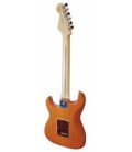 Back of the electric guitar Fender model Player Strat PF Aged Natural