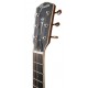 Head of the resonator Fender model PR 180E