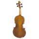 Back and sides of the viola Stentor model Student I 16"