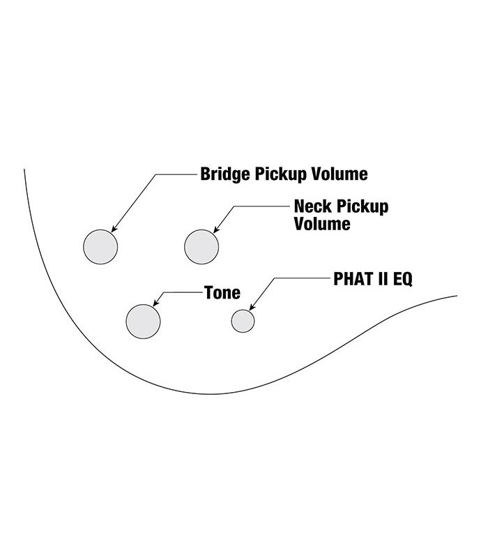 Infographic about the controls of the bass guitar Ibanez model GSR200B WNF