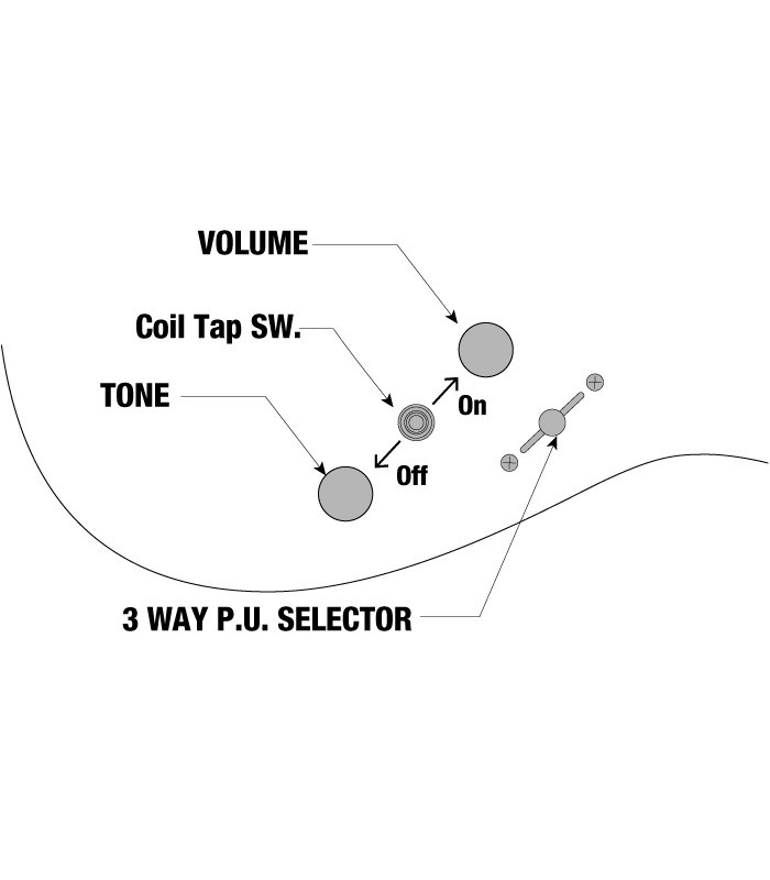 Controls infographics of the electric guitar Ibanez model RG421HPAH BWB