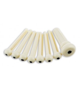 Set of Pins Fender in Beige Plastic for Acoustic Guitar Bridge