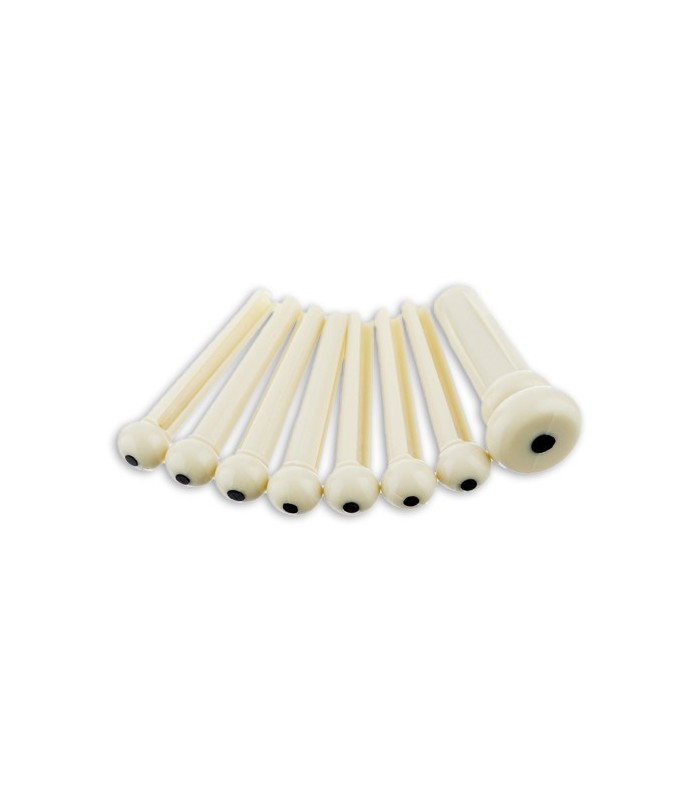 Set of pins in beige plastic Fender for acoustic guitar bridge