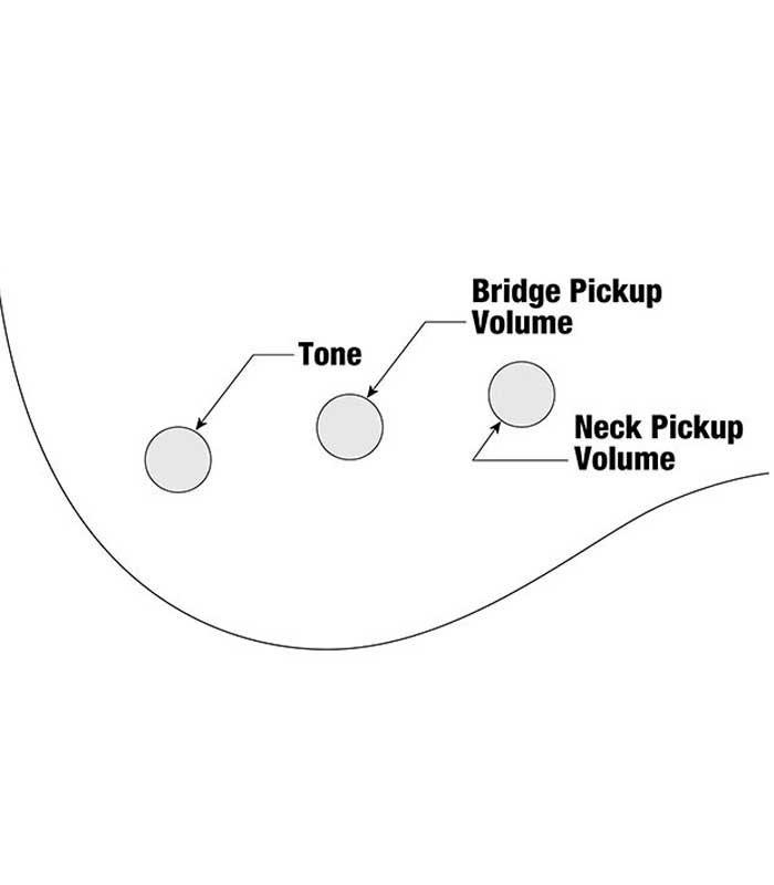 Control's infographic of the bass guitar Ibanez model GSRM20B WNF
