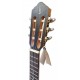 Head of the guitalele APC model GC Classic