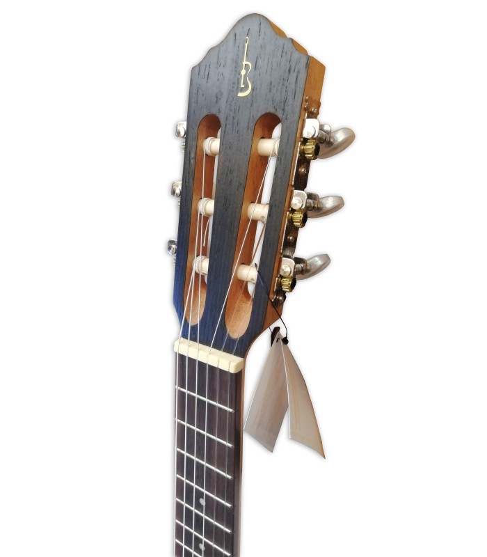 Head of the guitalele APC model GC Classic