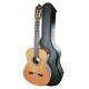 Photo of guitar Alhambra 9P and hard case