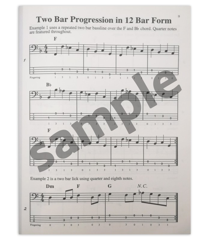 Blues Bass Licks book's sample