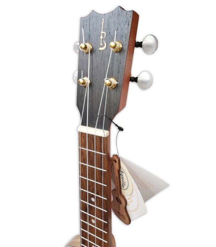 Head of the soprano ukulele APC model SC Slim 1/2