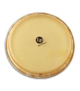LP Conga Head LP265B 11 3/4