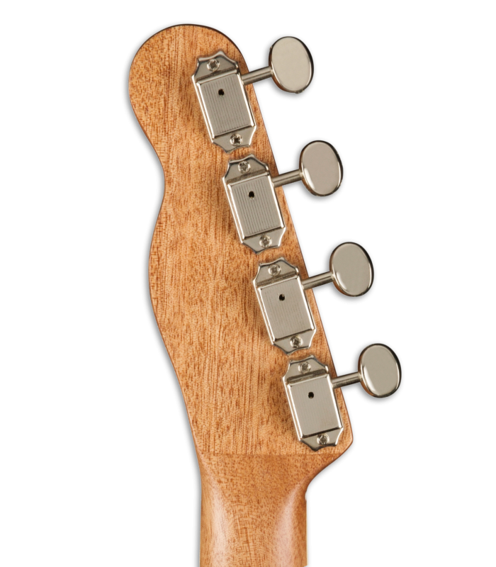 Machine head of the concert ukulele Fender model Zuma Exotic Bocote