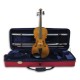 Photo of viola Stentor Student II of 16" with case and bow