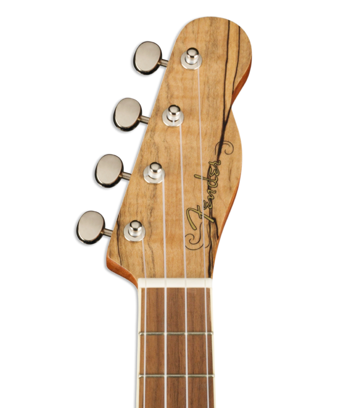 Head of the concert ukulele Fender model Zuma WN Exotic