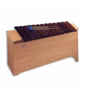 Honsuy Bass Diatonic Xylophone 49110 C A