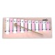 Photo of the Glockenspiel Goldon model 11050 c3 g4 Pink