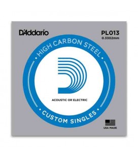 DAddario Electric or Acoustic Guitar String PL013 Steel