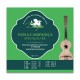 Dragão 10 Strings Viola Campaniça String Set 009 D