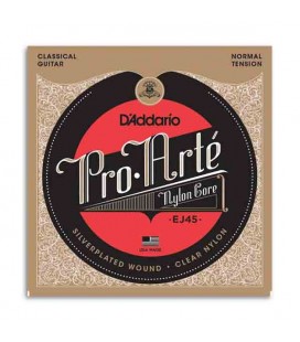 Package of strings D'Addario EJ45 