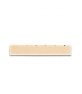 Photo of  nut Alhambra 9646
