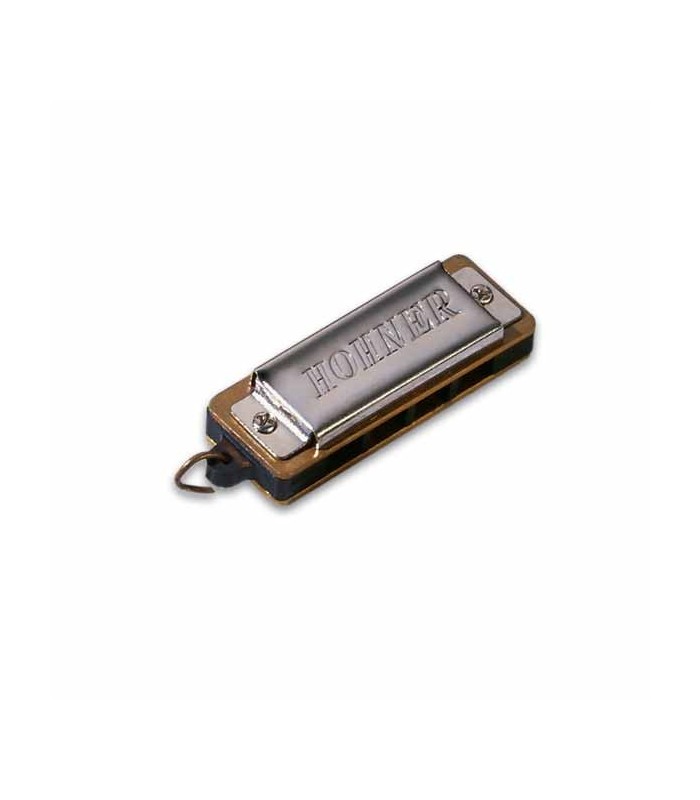 Photo of harmonica Hohner 125