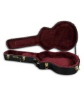 Photo of hard case Gretsch G6241FT open
