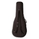 Gator Case GL Classic for Classical Guitar