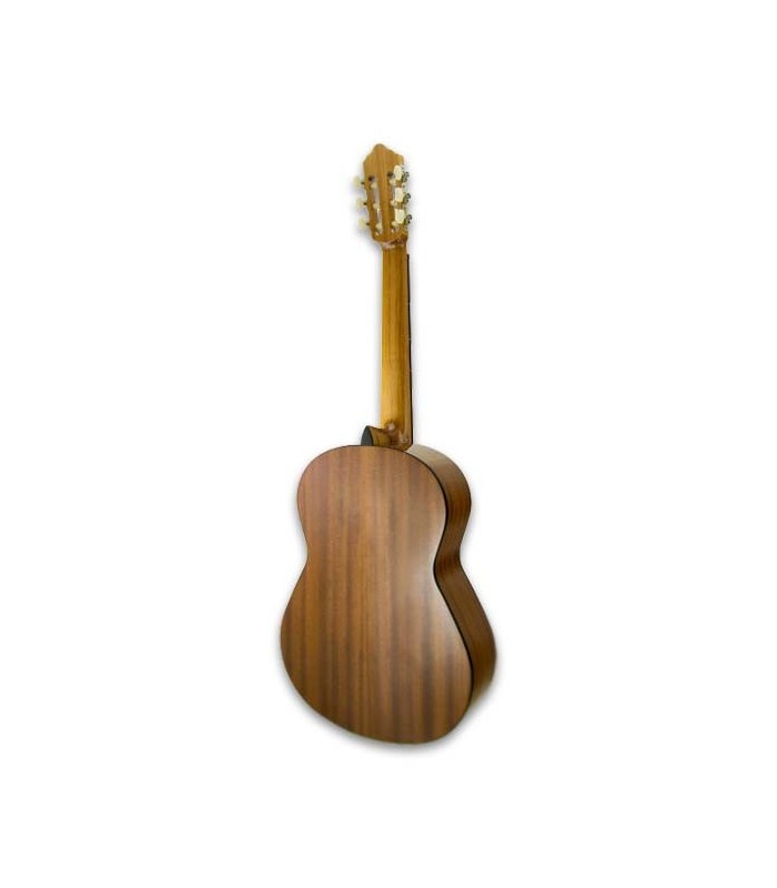 Back of guitar APC 1S 