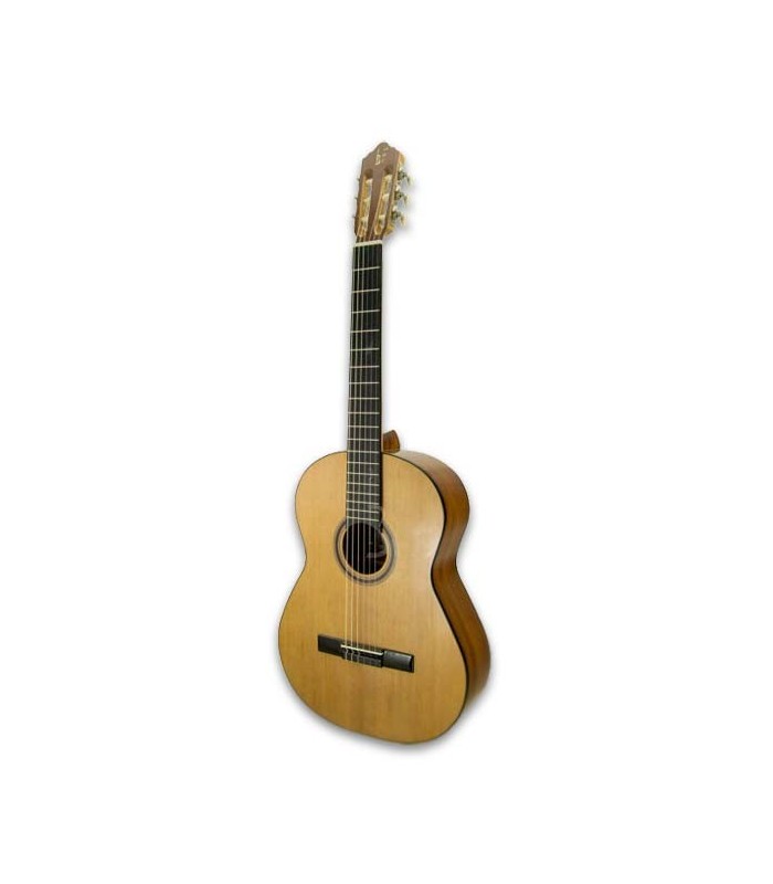 Photo 3/4 of guitar APC 1C