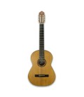 Frontal photo of guitar APC 1C
