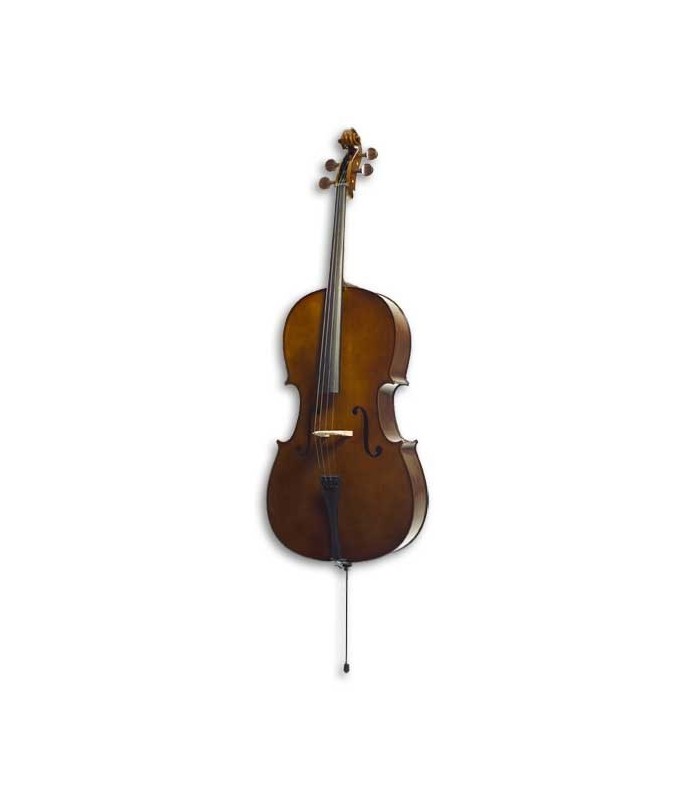 Stentor Student II cello outfit - Stentor Music