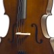 Body of cello Stentor Student II 4/4 SH
