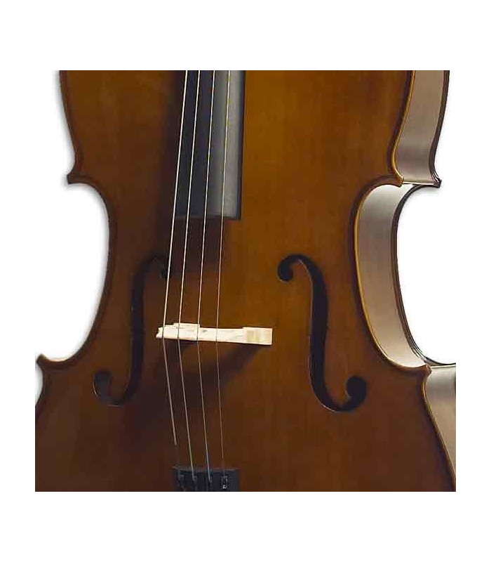 Body of cello Stentor Student II 4/4 SH