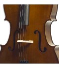 Body of cello Stentor Student II 4/4 SH