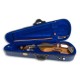 Photo of violin Stentor Student I 1/2 in the case
