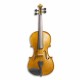 Photo of violin Stentor Student II 