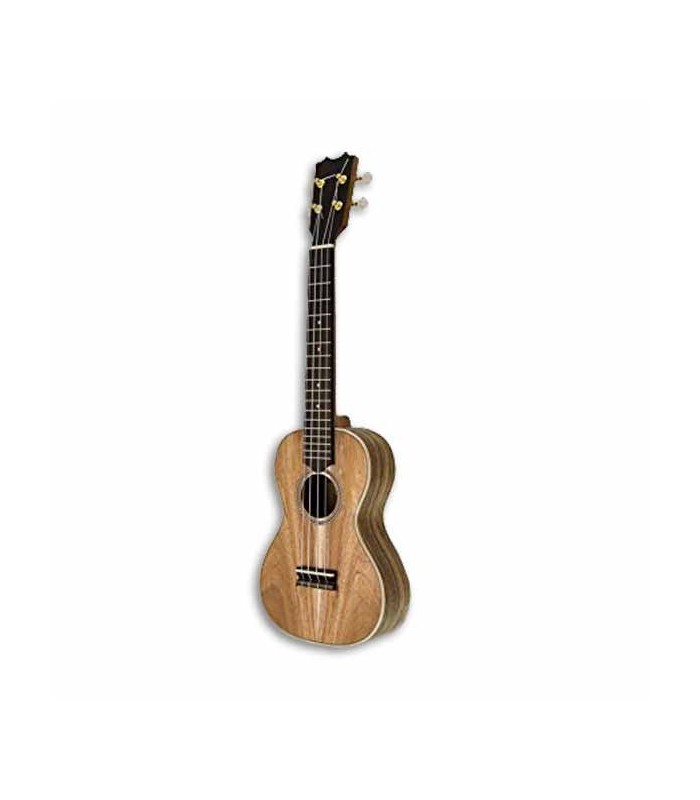 Photo of ukulele concerto APC CC