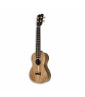Photo of ukulele concerto APC CC