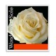 Violin String Wondertone E 4/4 315221