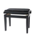 Bench Artcarmo 130000 Black Mate Rectangular Height Adjustment
