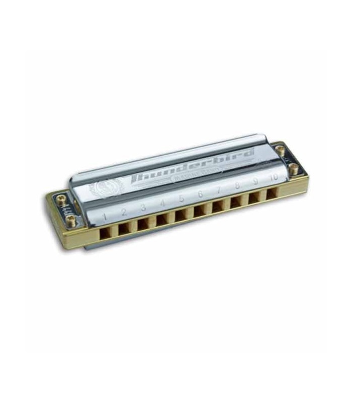 Harmonica Thunderbird in Low F 2011/20F (Low)