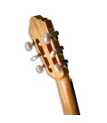 Tuning machines of guitar APC GC200OP