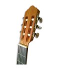 Head of guitar APC GC200OP