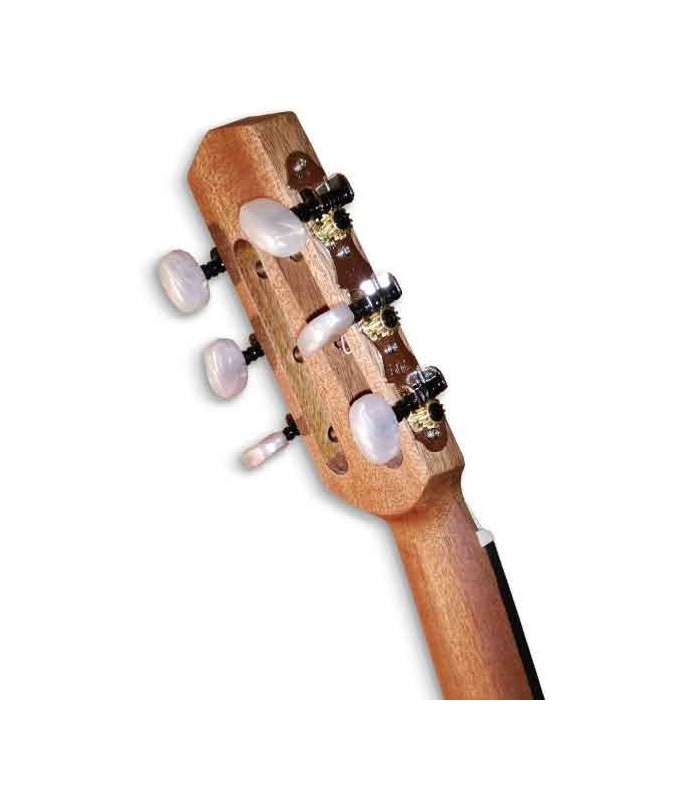 Tuning machines of guitar APC JMD200WLN